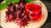 30 Science-Backed Benefits of Red Roselle Flower for Health