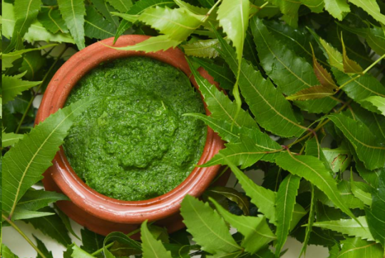 9 Proven Health Benefits of Neem for Skin