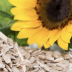 7 Incredible Health Benefits of Sunflower Oil for Radiant Skin