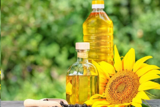 Oil Treatment: 9 Health Benefits of Sunflower Seed Oil