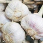 9 Health Benefits of Garlic Oil You Should Consider