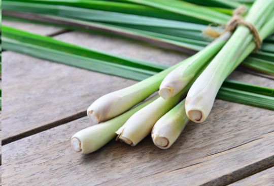 19 Potential Health Benefits of Lemongrass and Pandan Leaves