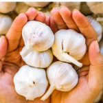 8 Unexpected Health Benefits of Eating Raw Garlic