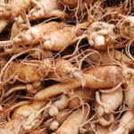 Top 10 Health Benefits of Asian Ginseng – Natural Tonic