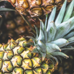 17 Essential Health Benefits of Pineapple Leaves